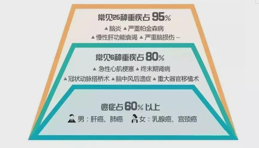 新澳门今晚一肖预测再加上2025新澳门免费精准大全的警惕虚假宣传-全面释义、构建解答解释落实